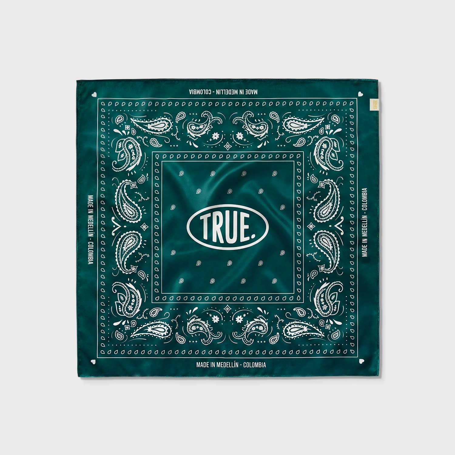 Paisley Bandana - Green - imagen 1