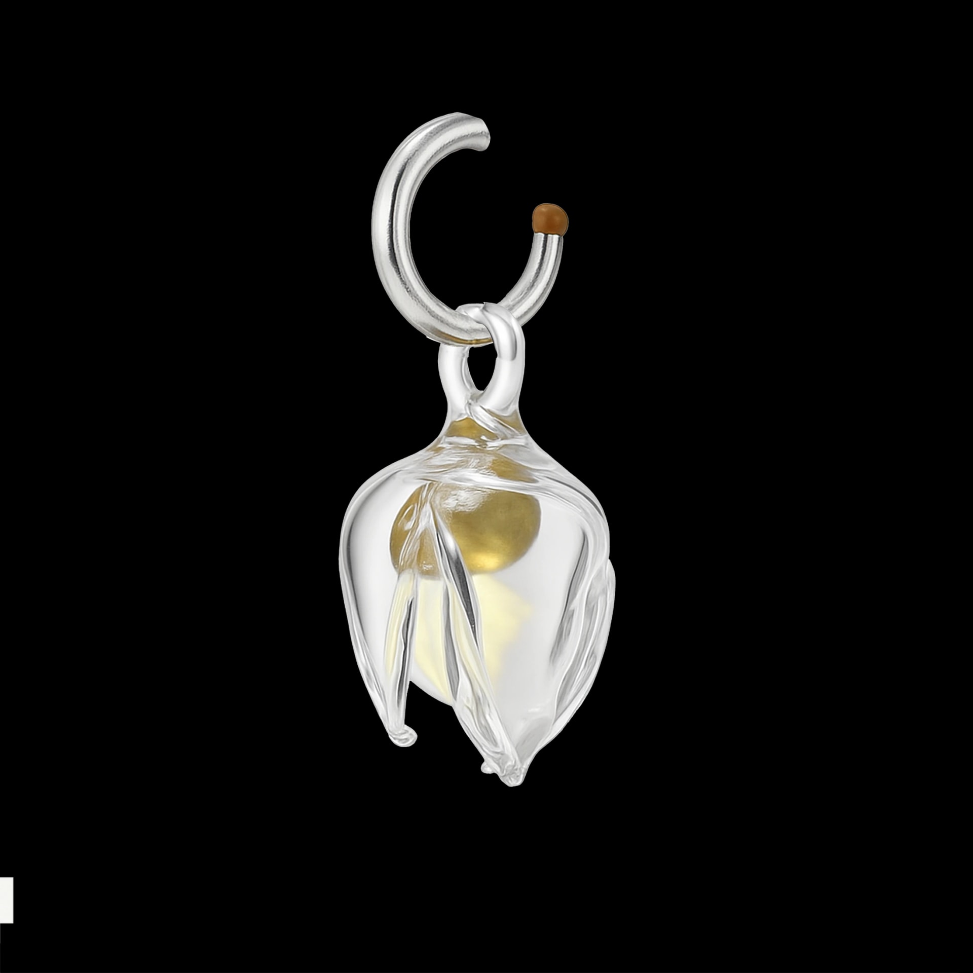 Uchuva (goldenberry) Charm - imagen 1