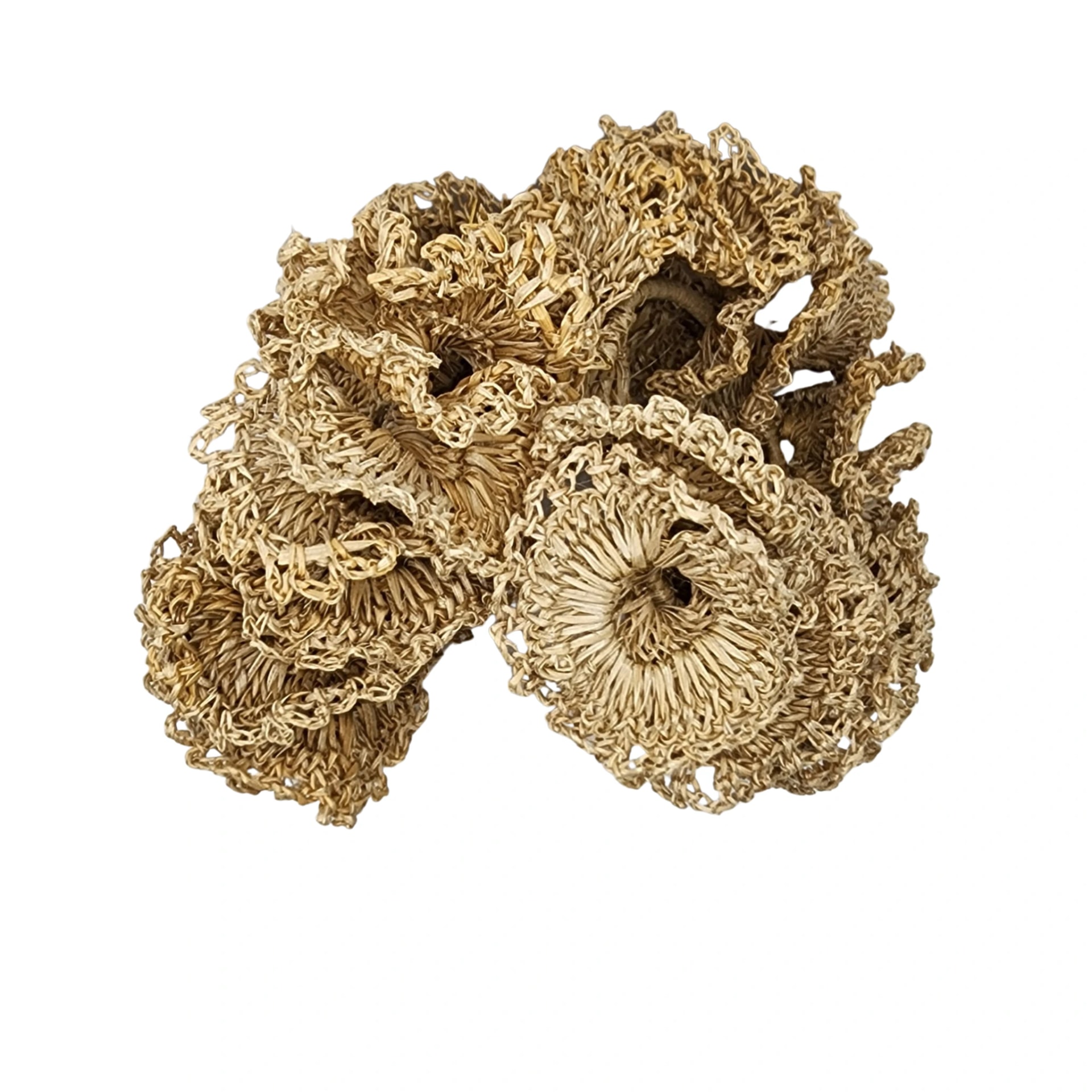 Eco Spiral Earrings - imagen 1