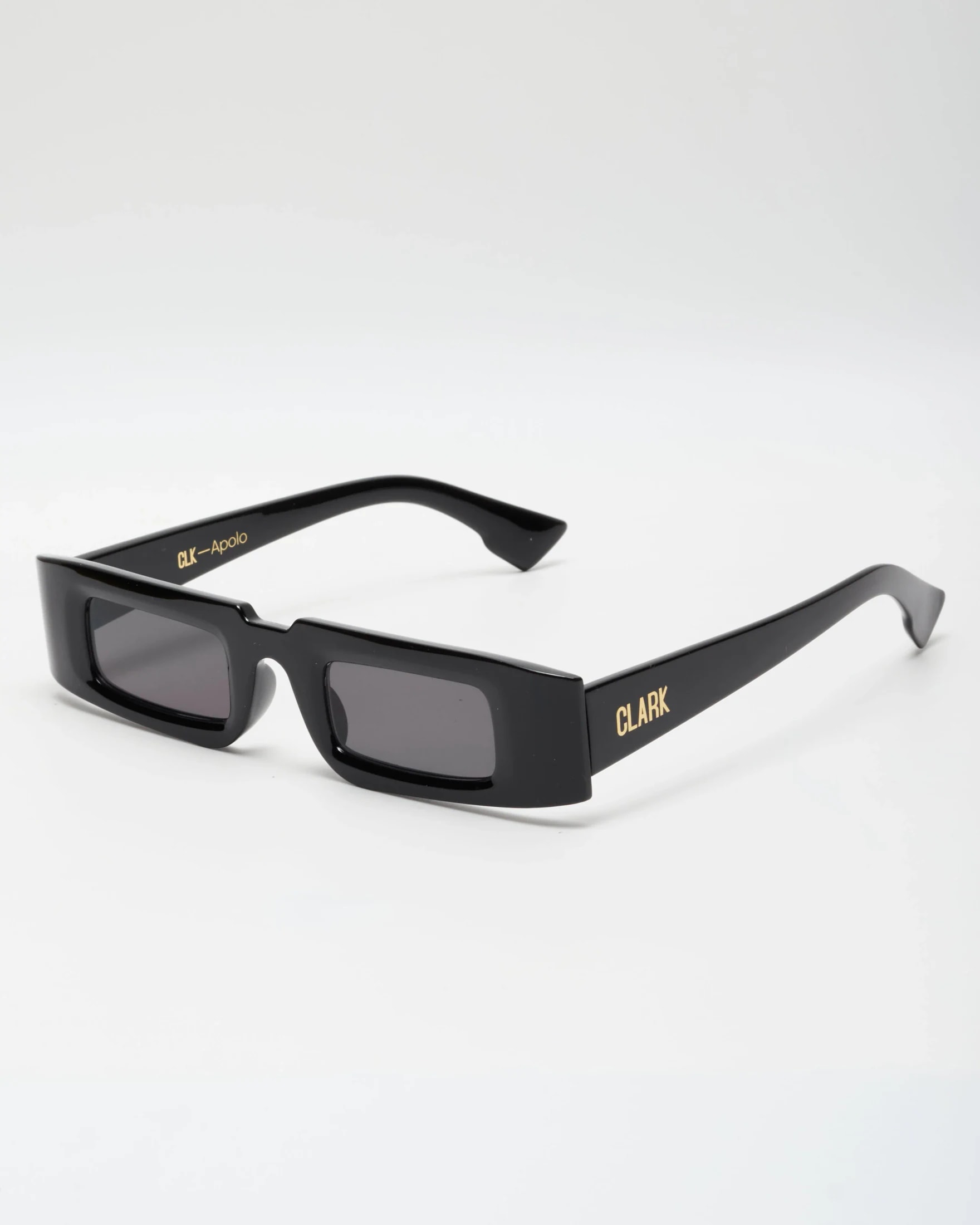 APOLO SUNGLASSES -BLACK - imagen 1