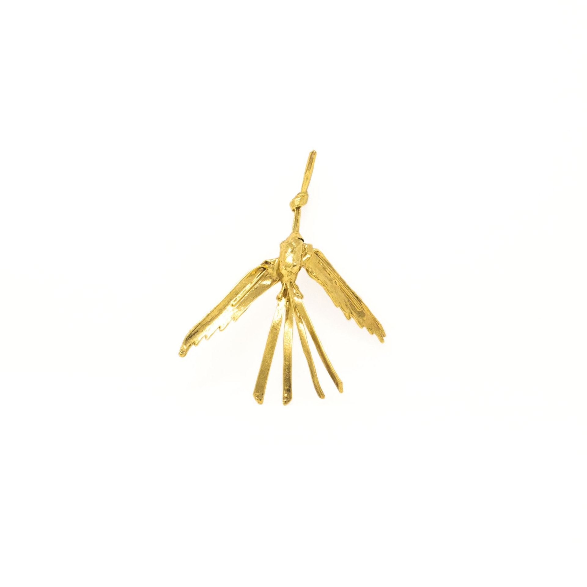 Broche Garza - imagen 1