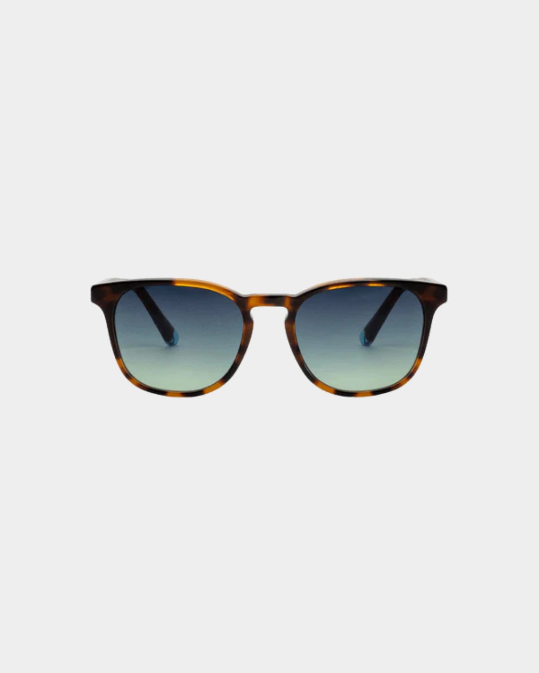 CHELSEA TORTOISE SOL - imagen 1