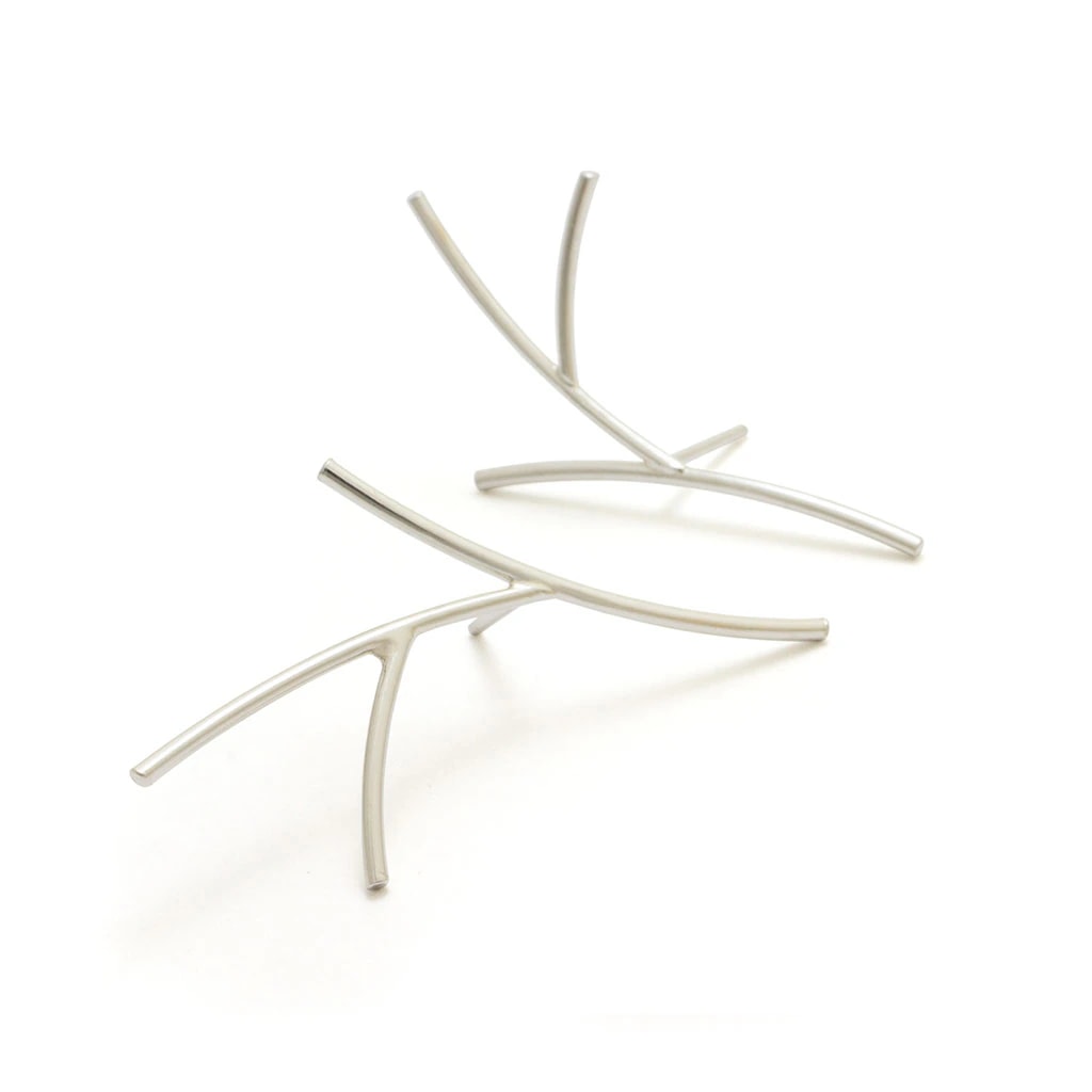 Aretes rhipsalis - imagen 1