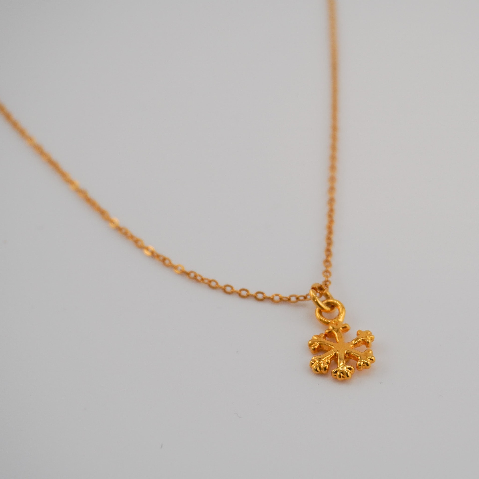 Frosted charm Chain - imagen 1