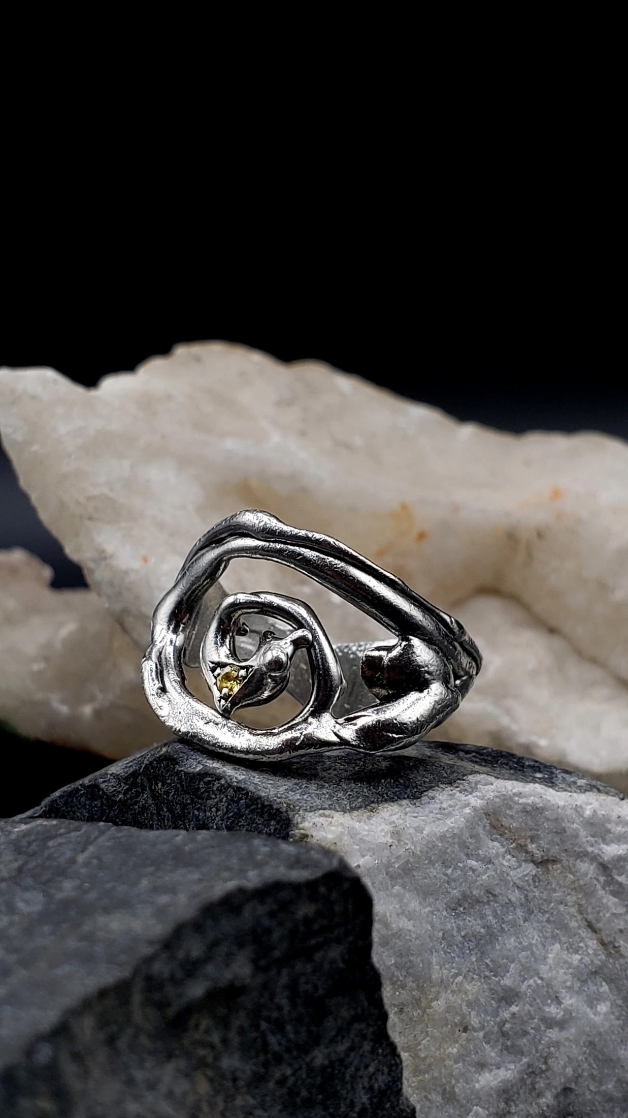 Spiral ring - imagen 1