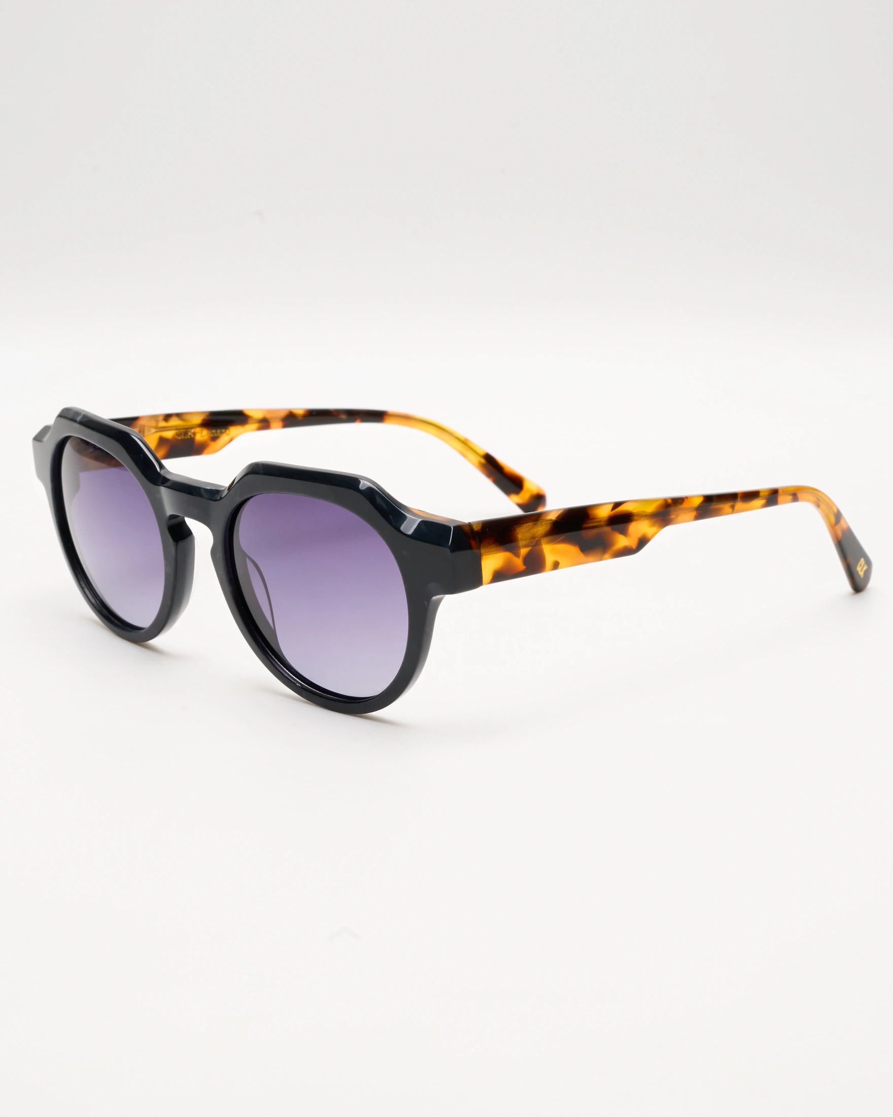 LENARD - BLACK TORTOISE / SMOKE - imagen 1