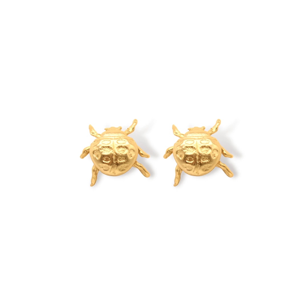 Aretes de mariquita - imagen 1