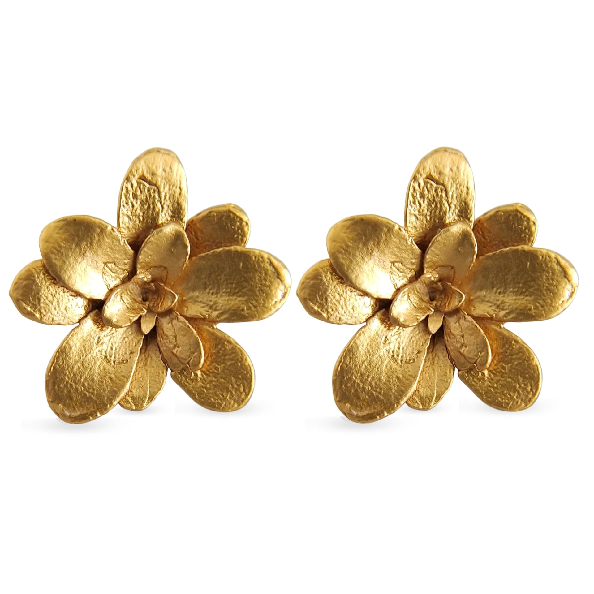 Aretes suculentas Cene en plata con baño de oro - imagen 1