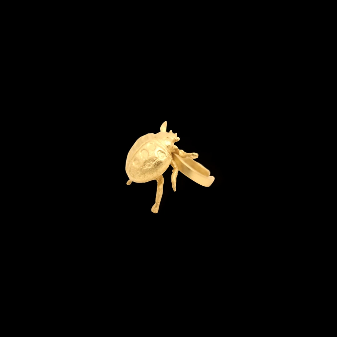 Anillo de mariquita pequeña - imagen 1