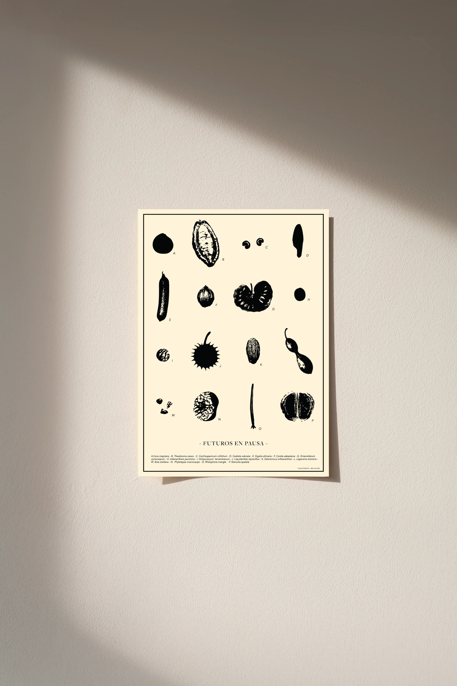 POSTER  30x40 -  FUTUROS EN PAUSA - imagen 1