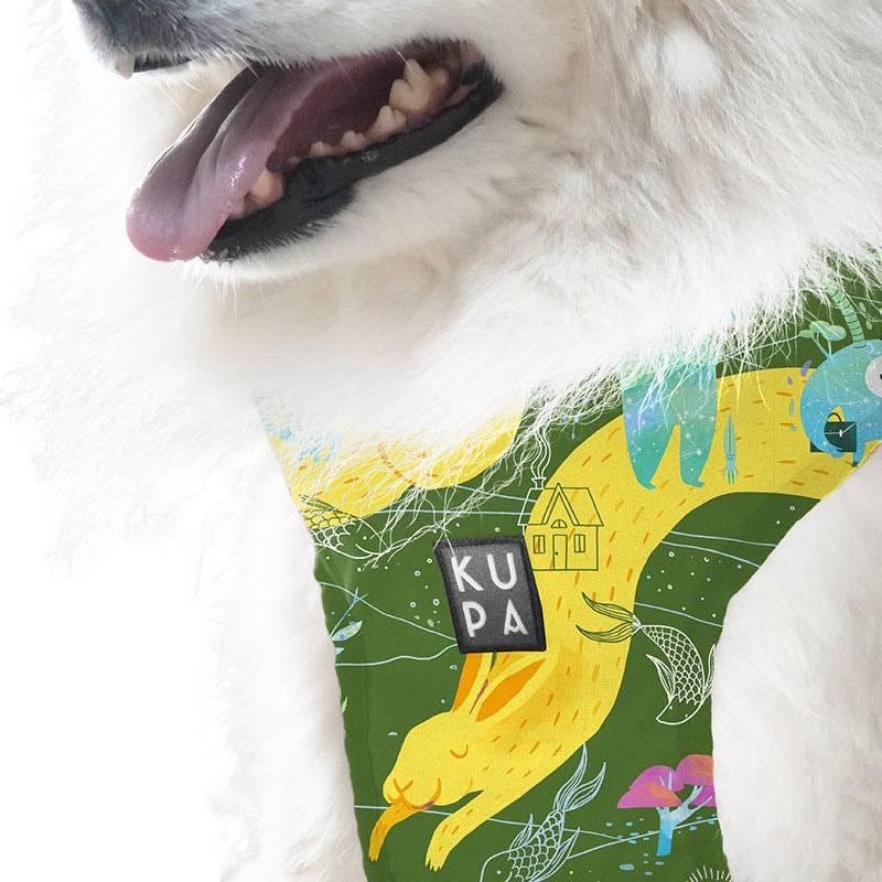 Pechera para mascotas Chía Viajerxs Astrales - imagen 1