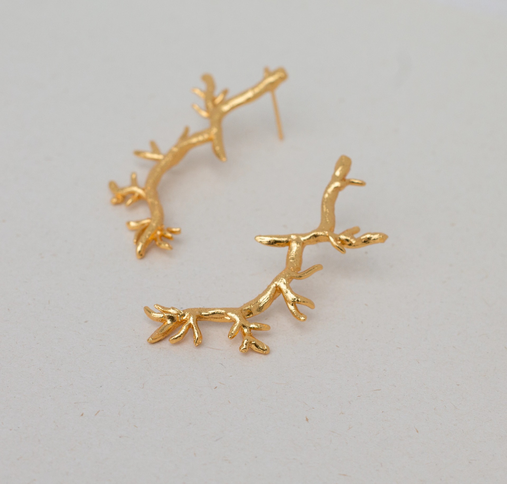 Aretes Chamizo - imagen 1