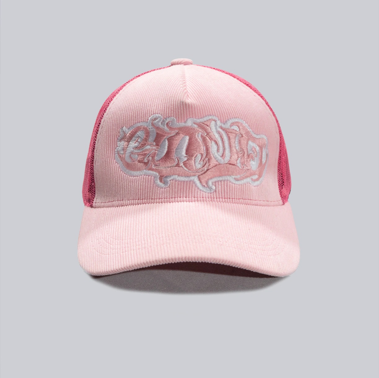 La camionera rosa - imagen 1