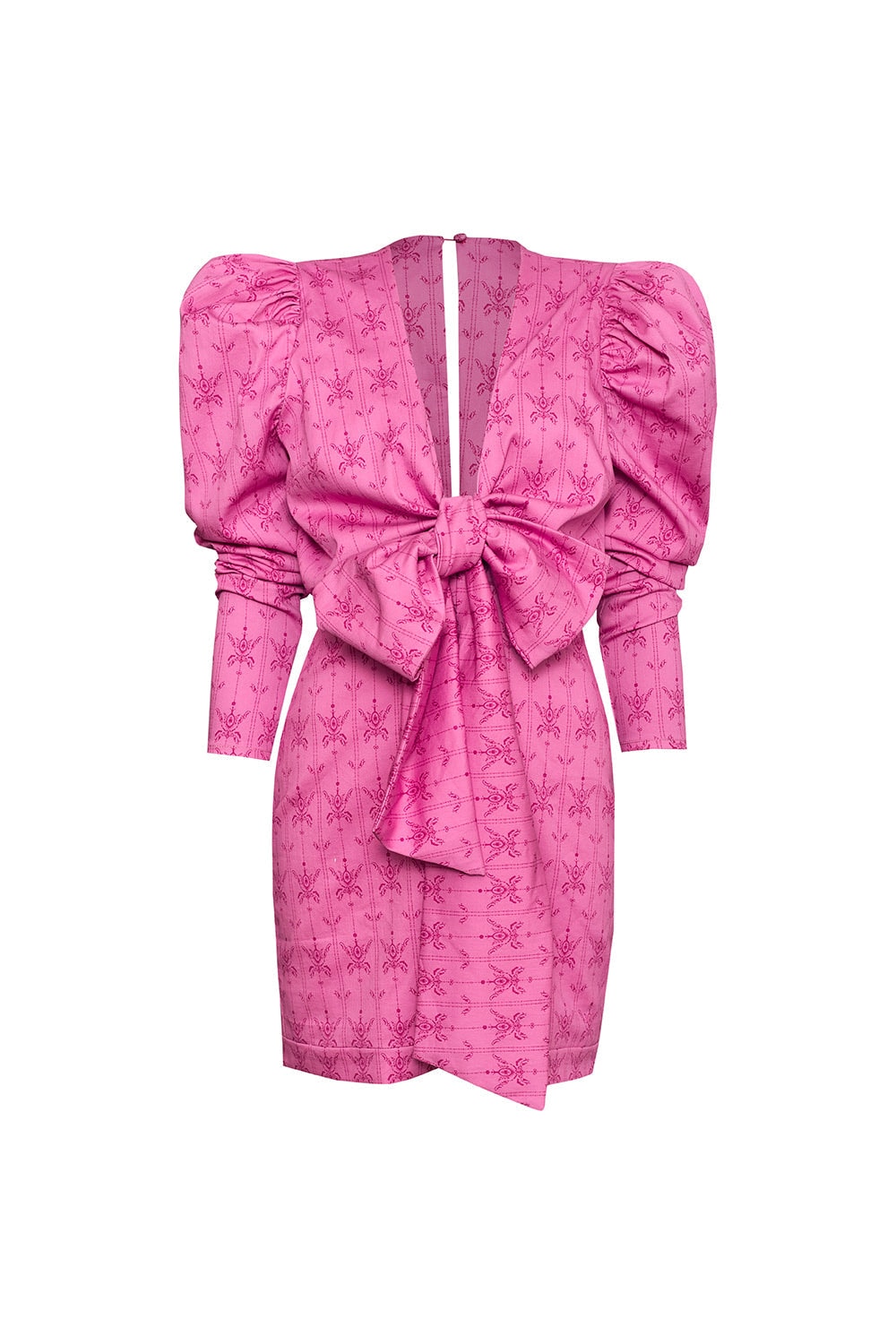Jacinto de Verano Mini Dress - imagen 1