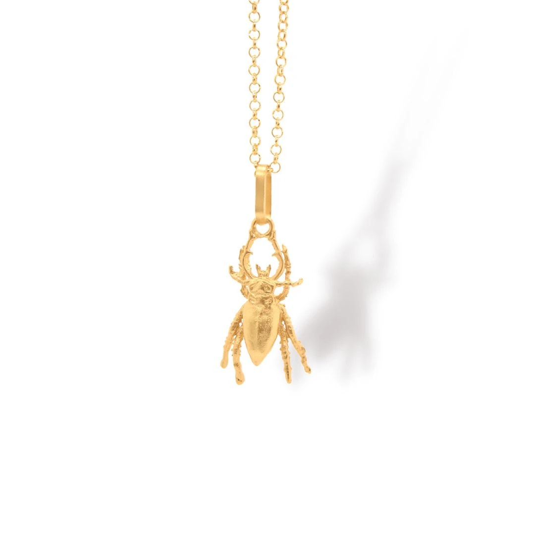 Cadena con escarabajo pequeño - imagen 1