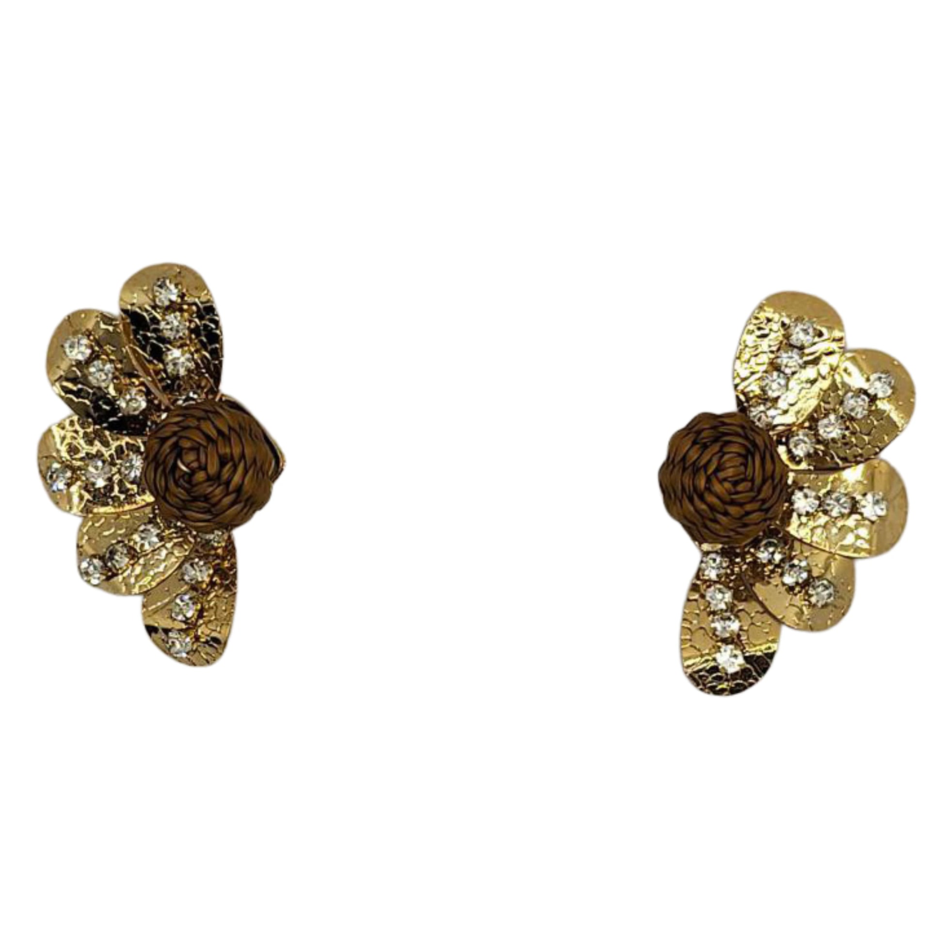 Wings Brown Earrings - imagen 1