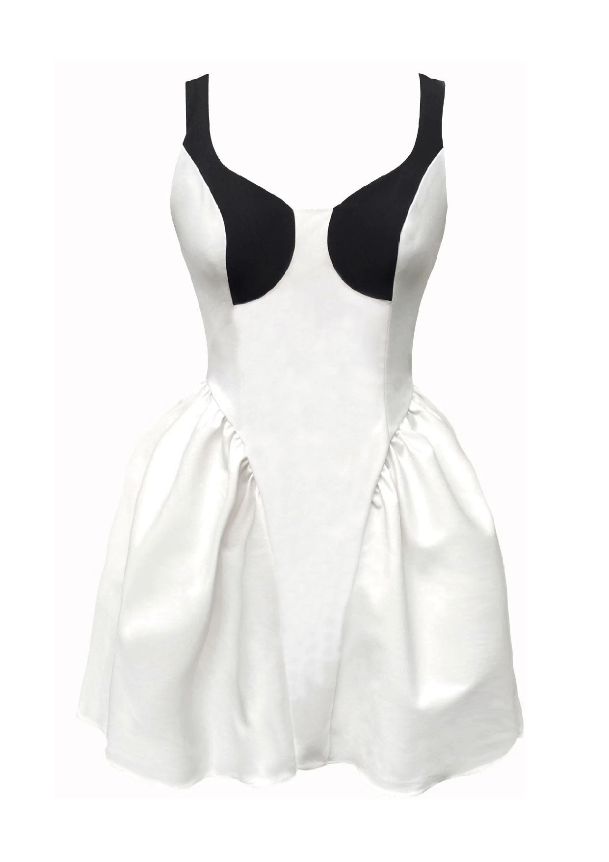 Cisne Mini Dress - imagen 1