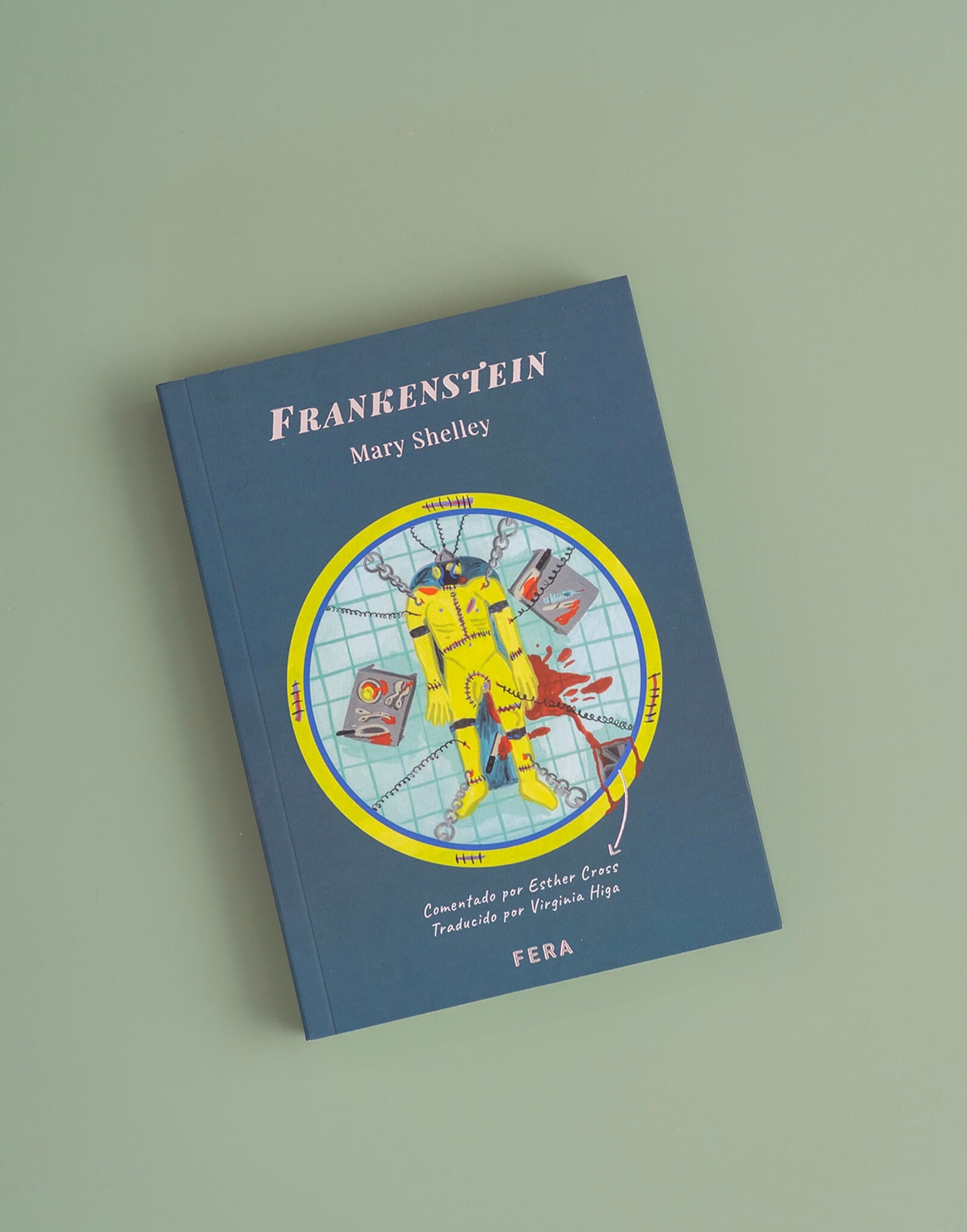 LIBRO FRANKENSTEIN - imagen 1