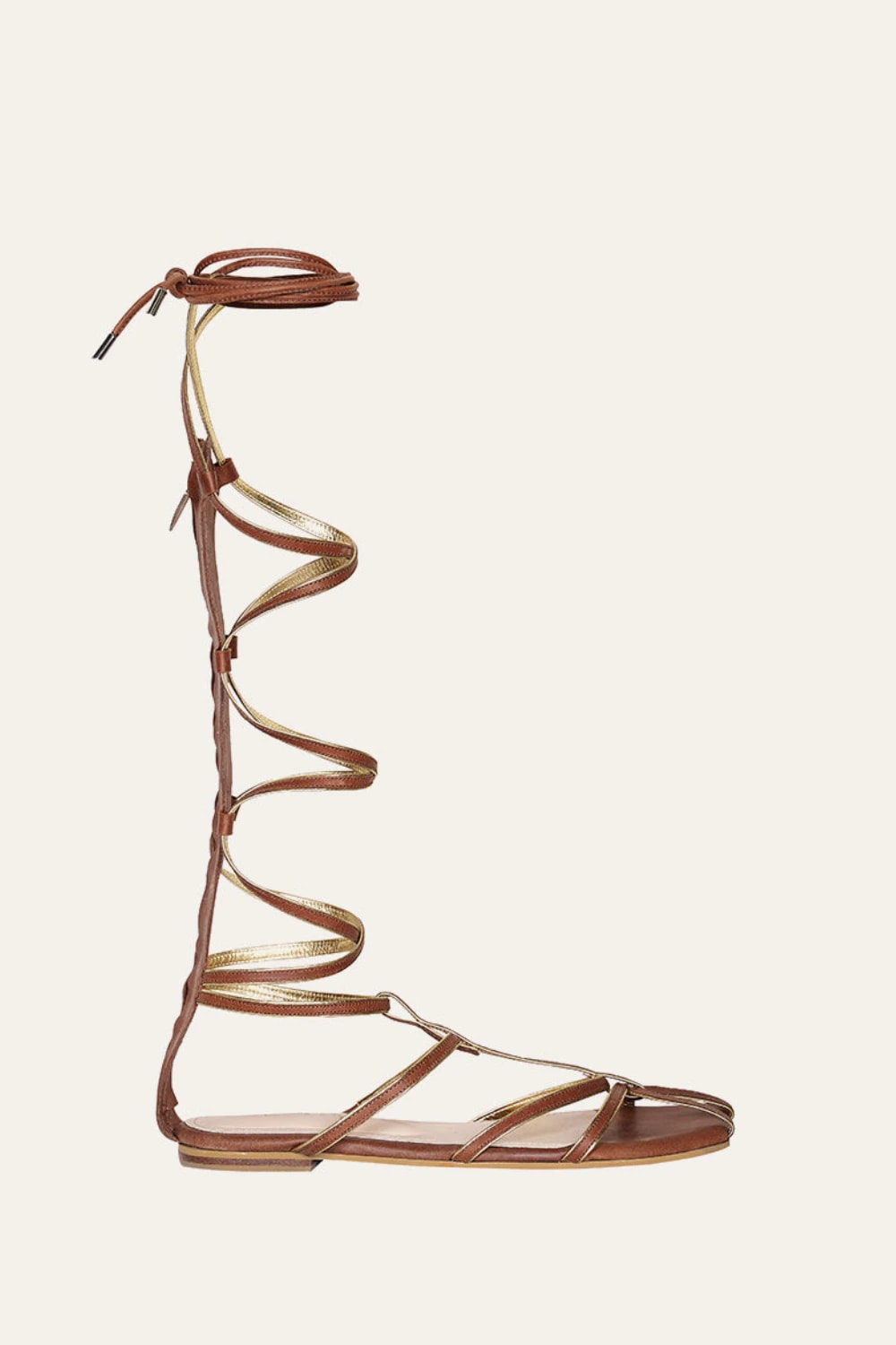 Baquiana Gladiator - imagen 1