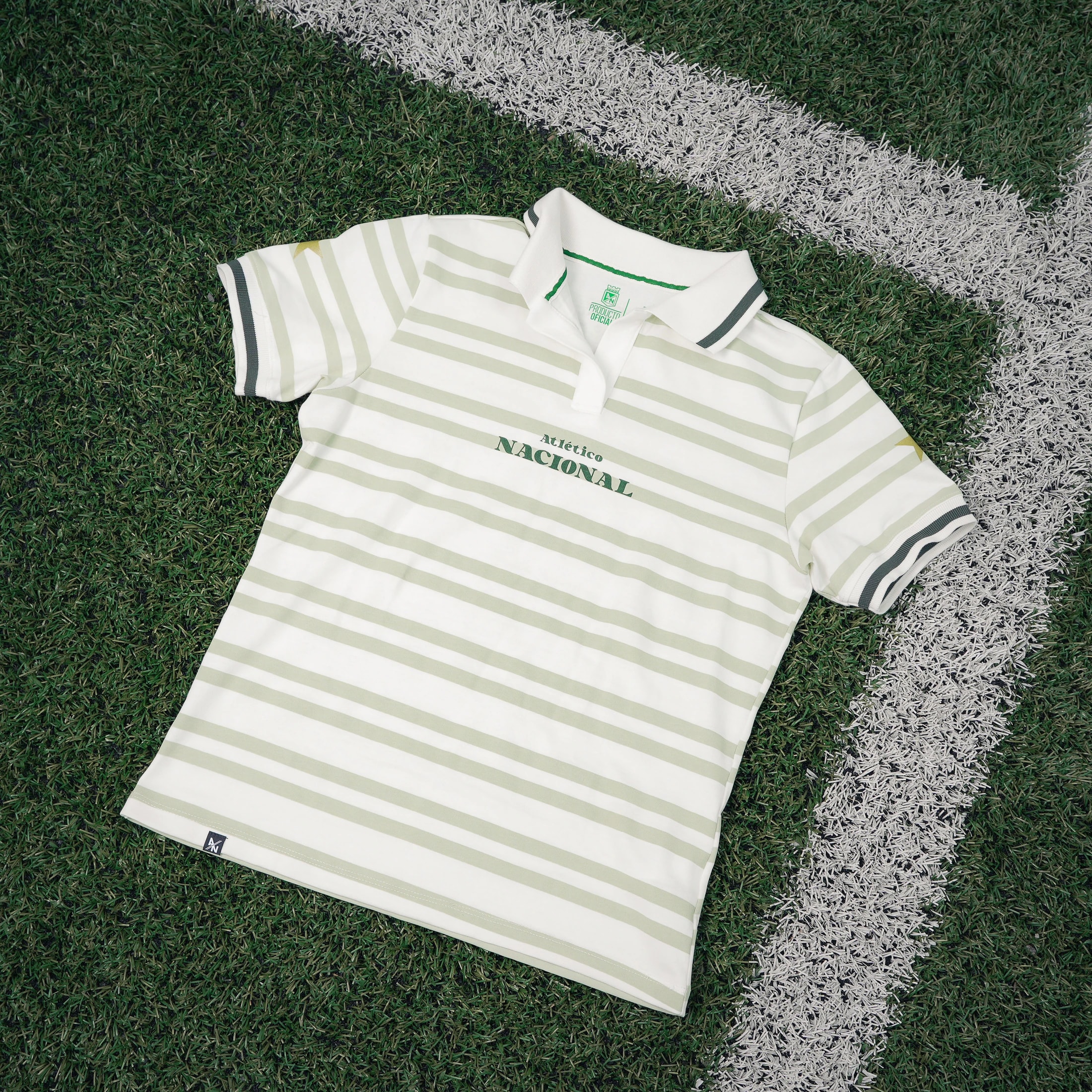 POLO RAYAS MUJER - imagen 1