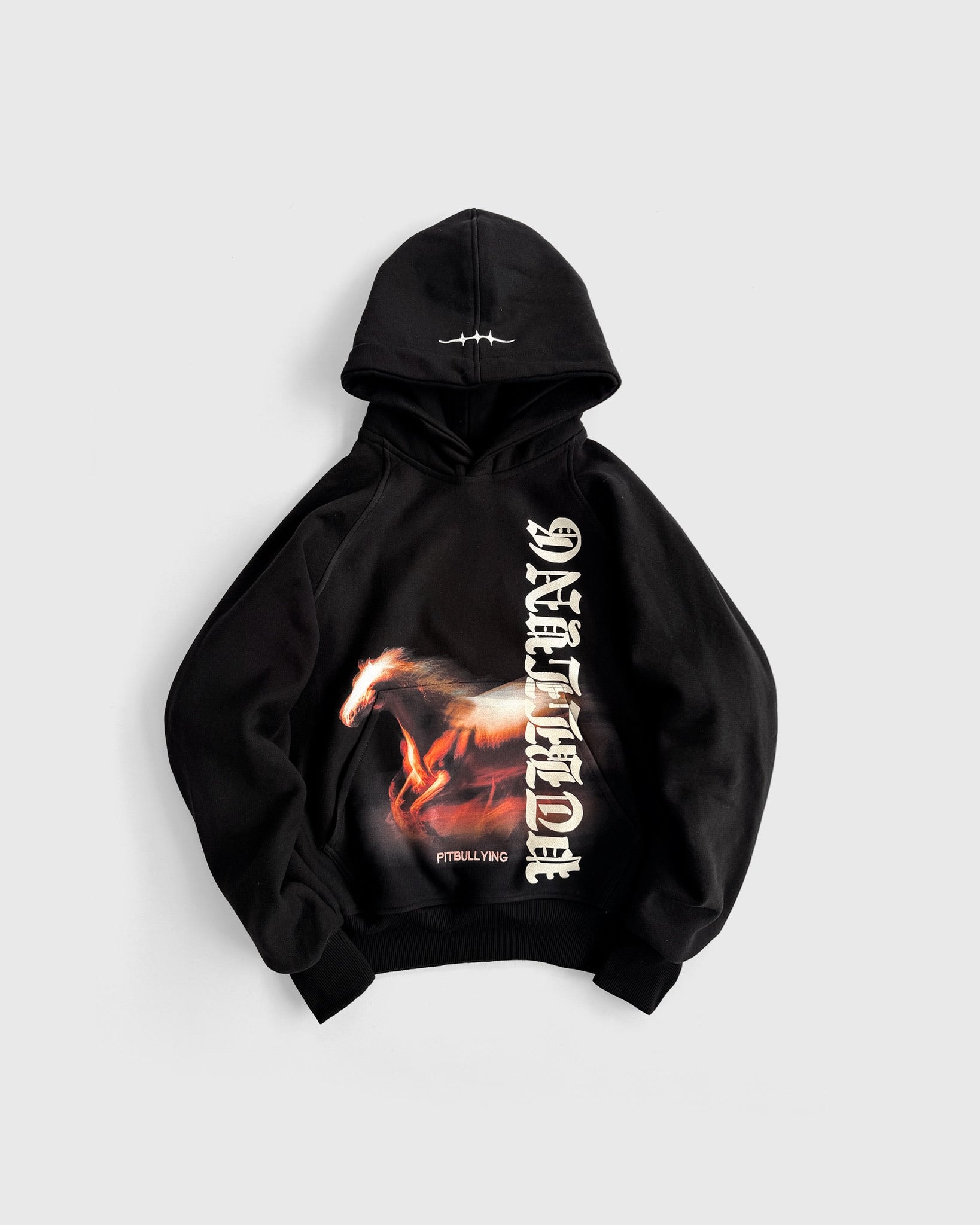 HOODIE CABALLO DE FUEGO - imagen 1