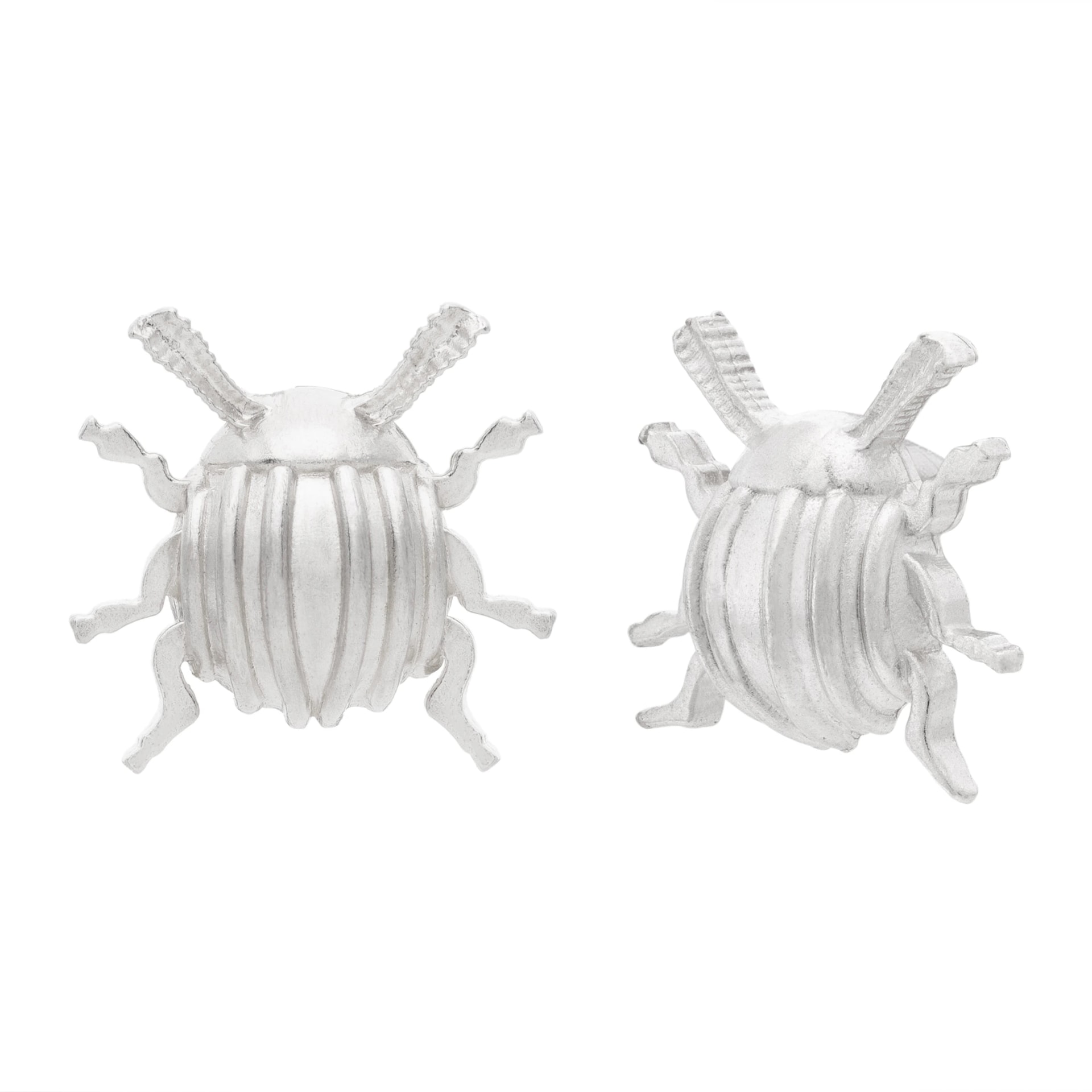 XL Beetle Earrings - imagen 1