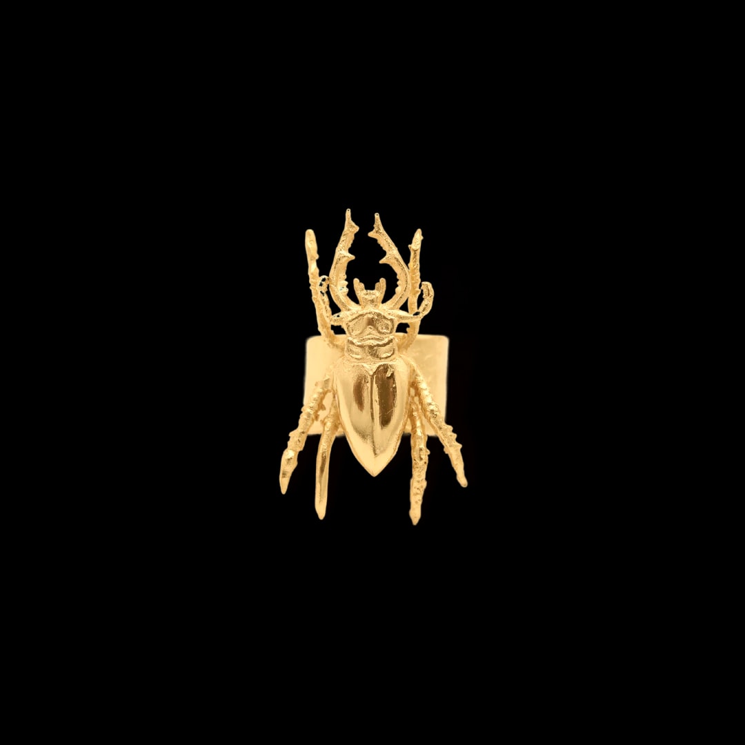 Anillo de escarabajo grande - imagen 1