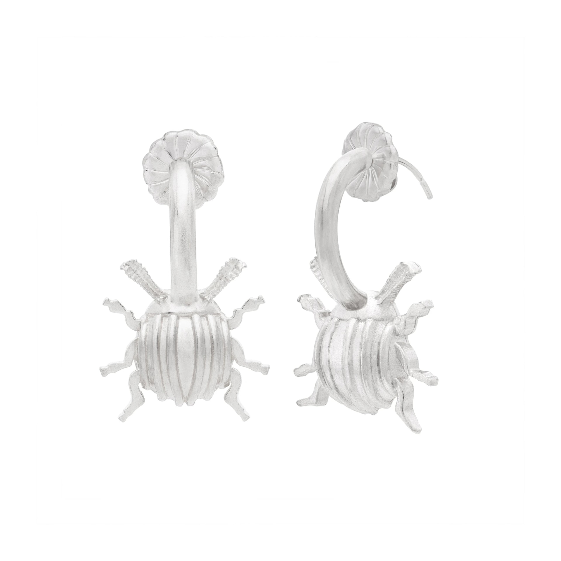 Medium Beetle Hoops - imagen 1