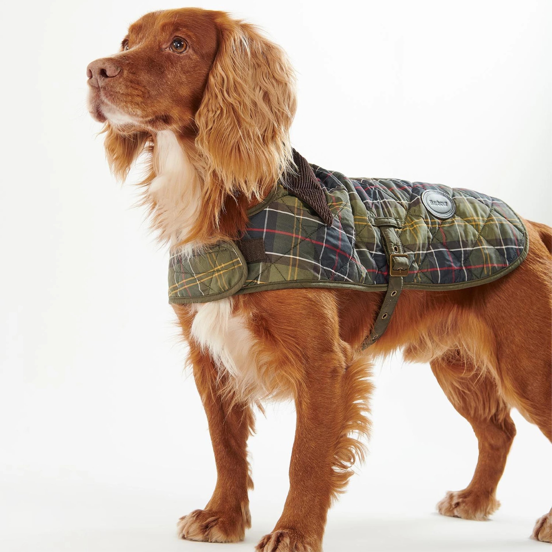 Tartan Dog Coat - imagen 1