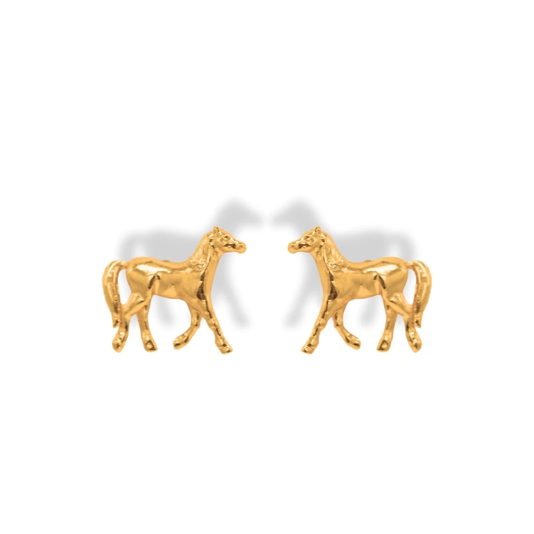 Aretes de caballo - imagen 1