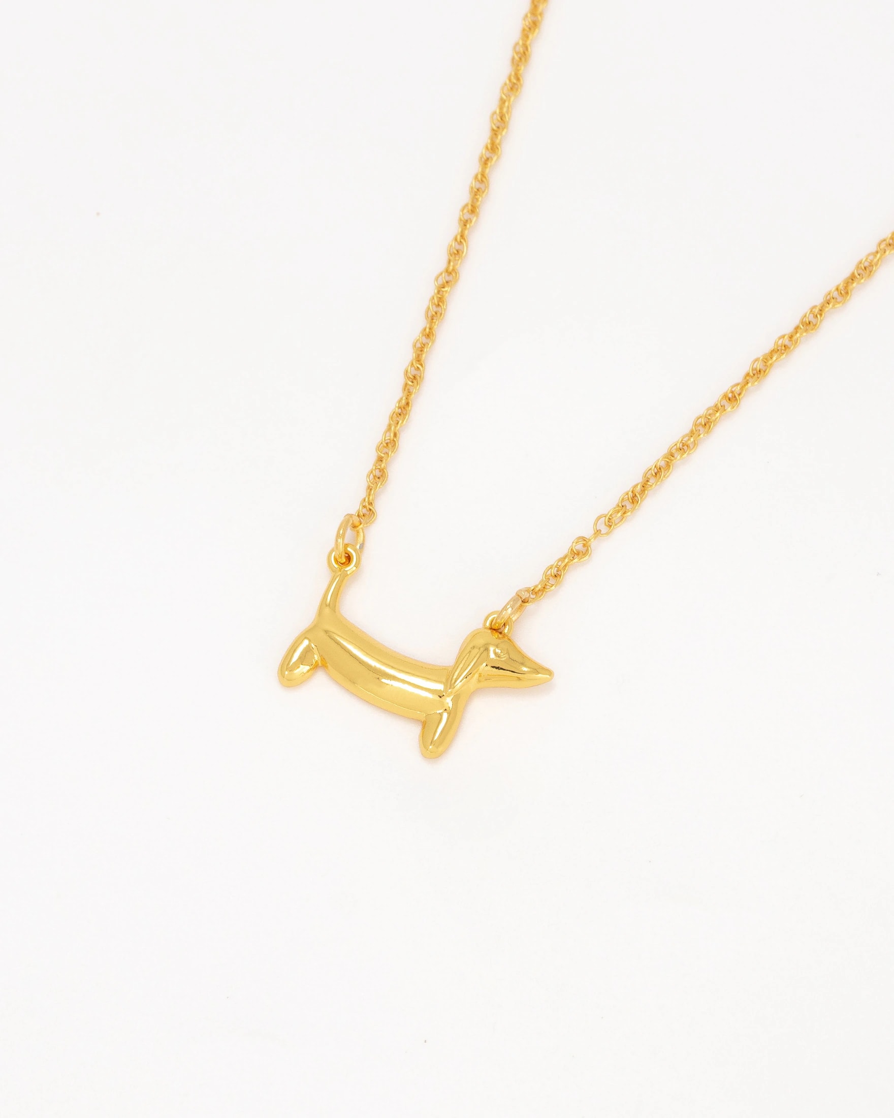 Collar Perro - imagen 1
