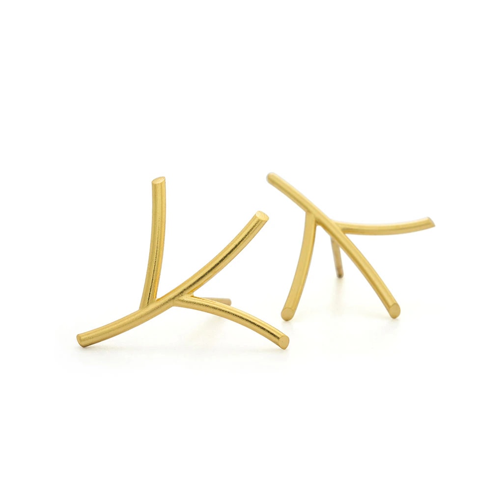 Aretes rhipsalis minis - imagen 1