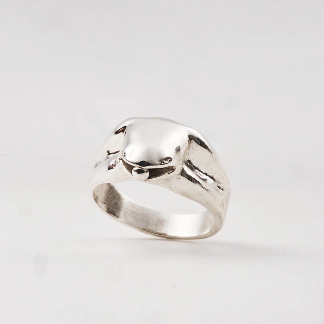 Anillo Rana - imagen 1