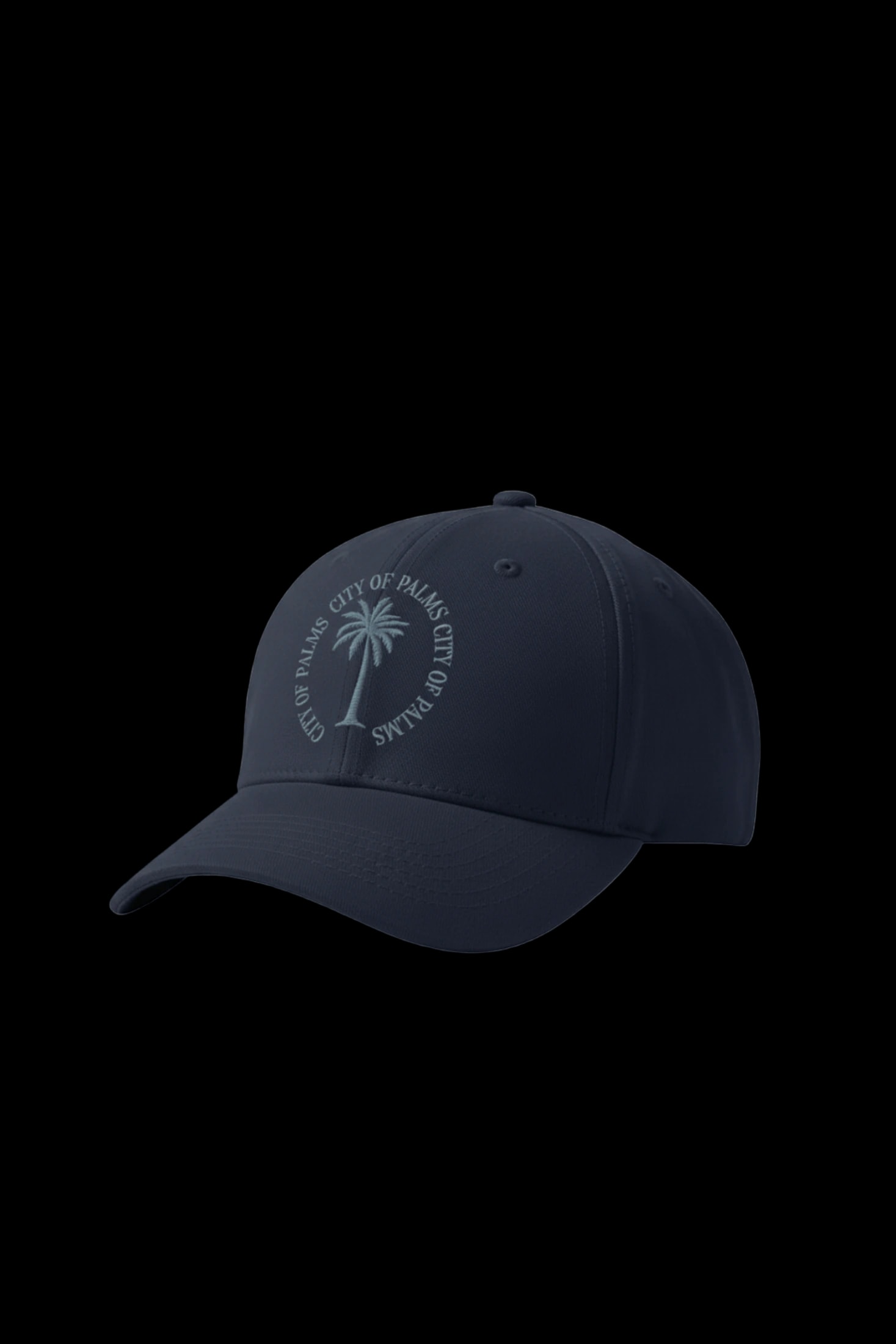 Gorra City of Palms - imagen 1