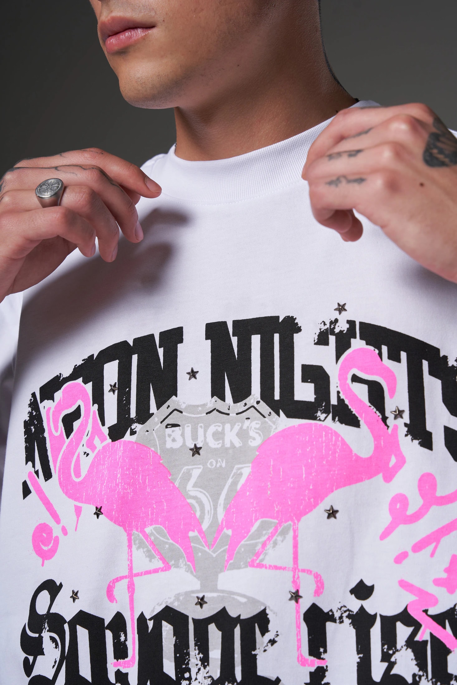 T shirt flamenco rosa 250 gramos 14602 - imagen 1