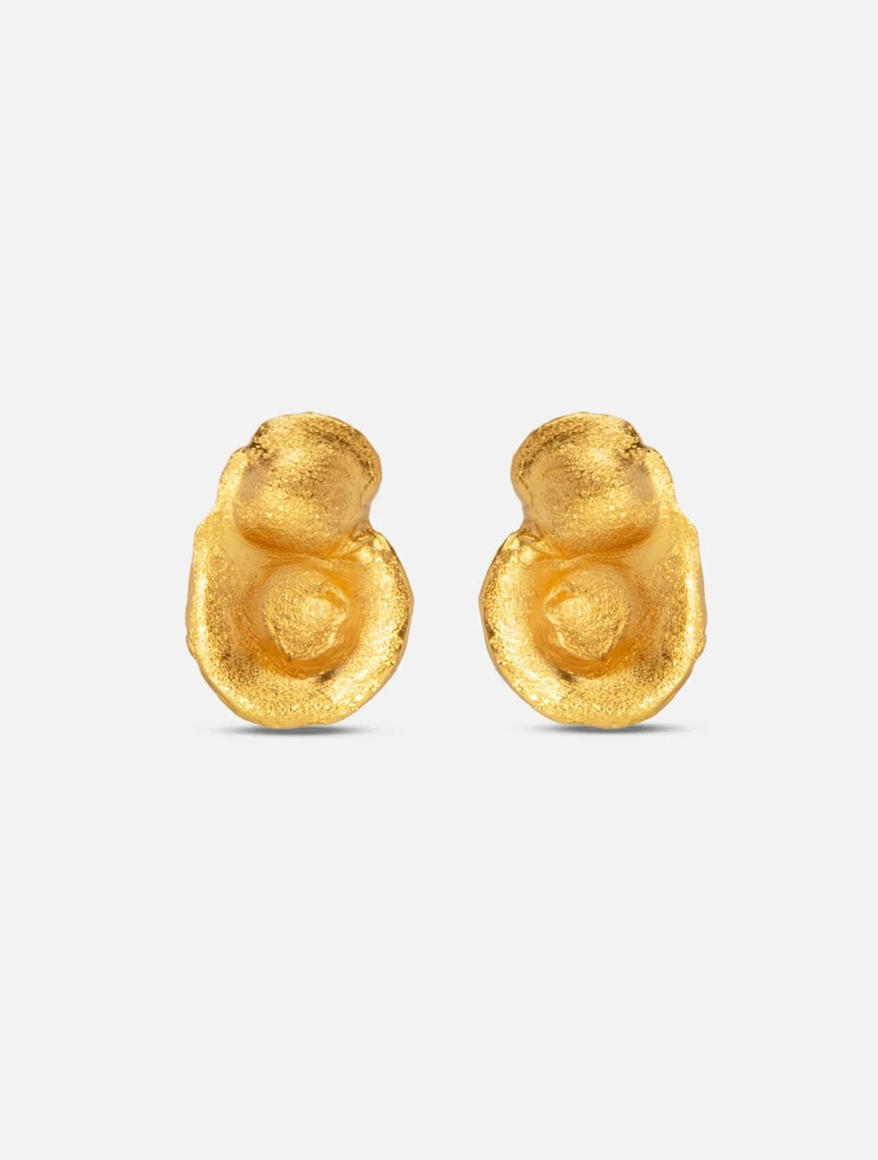 ARETES FIBA - imagen 1