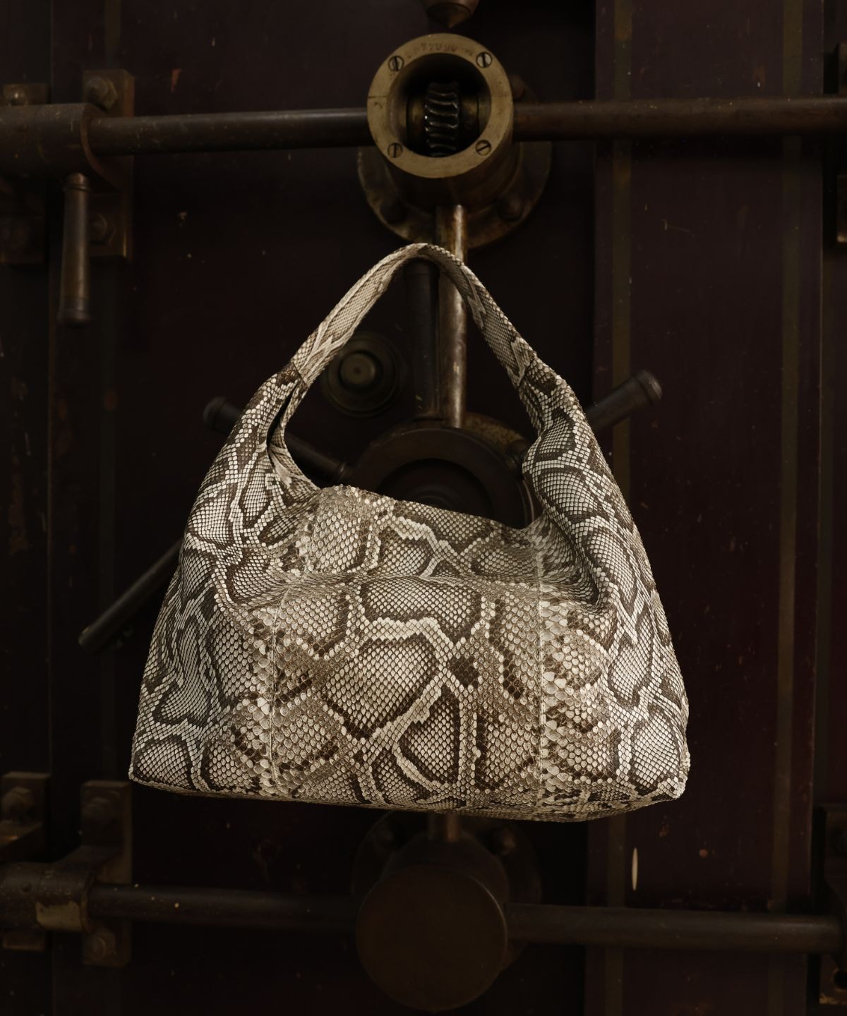 Meissa Hobo in Python - imagen 1