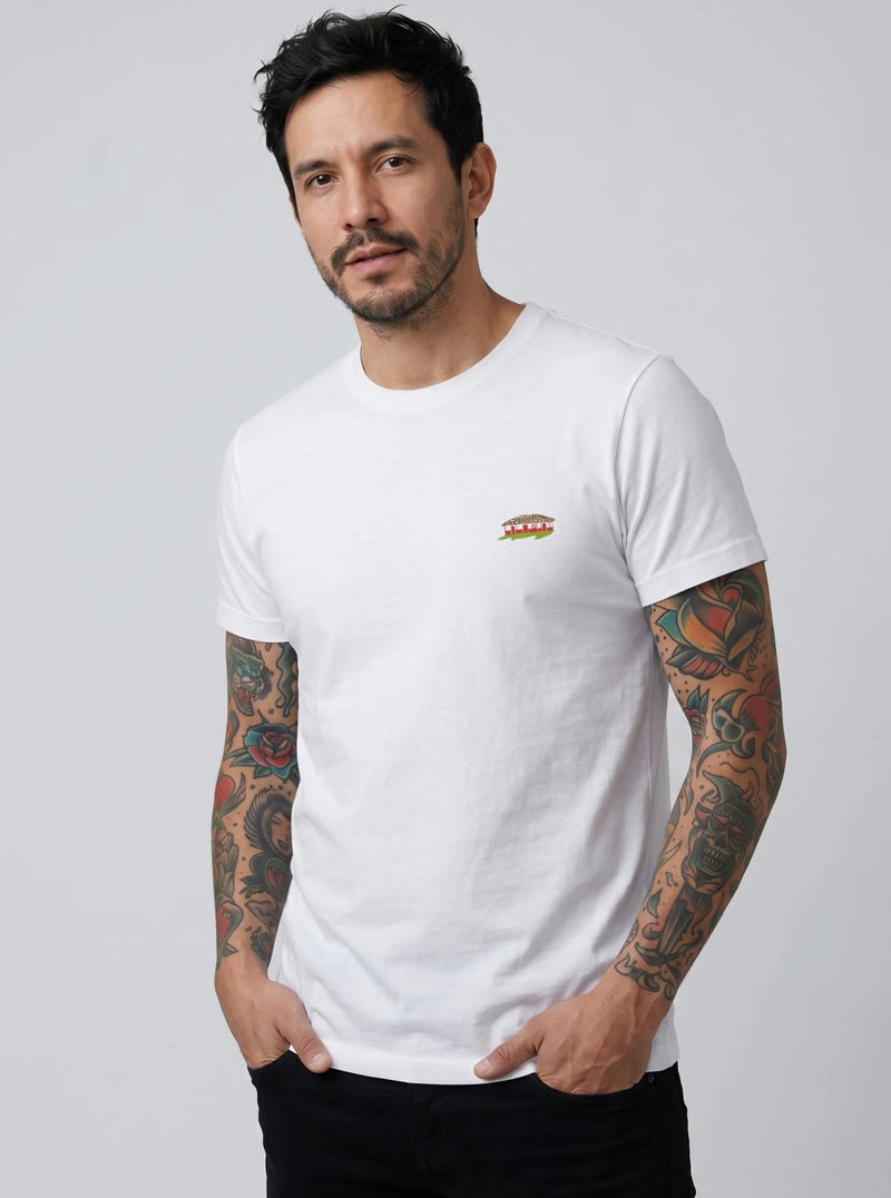 CAMISETA CASITA CAMPESINA - imagen 1