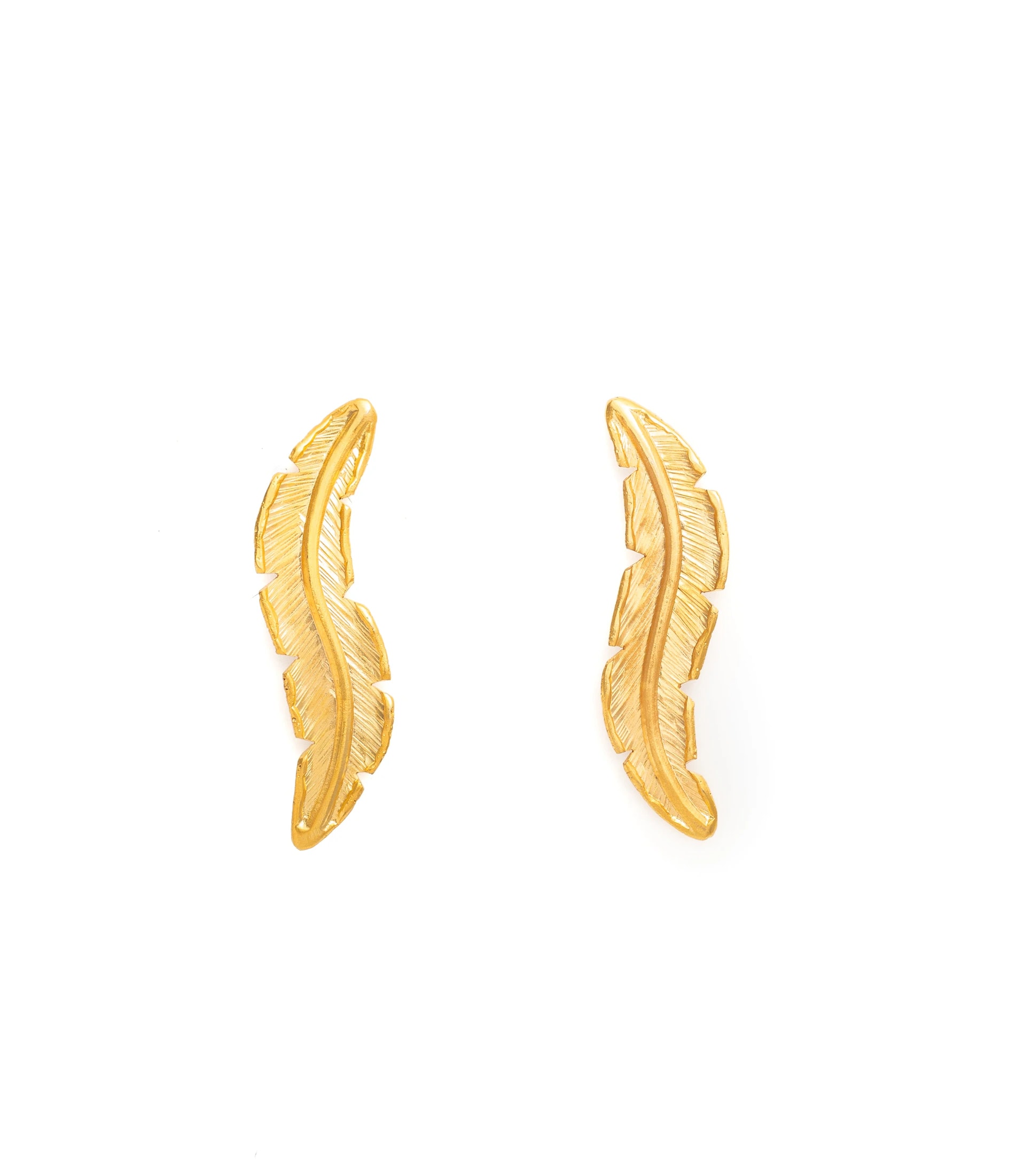 TOPOS HOJAS PLATANO - imagen 1