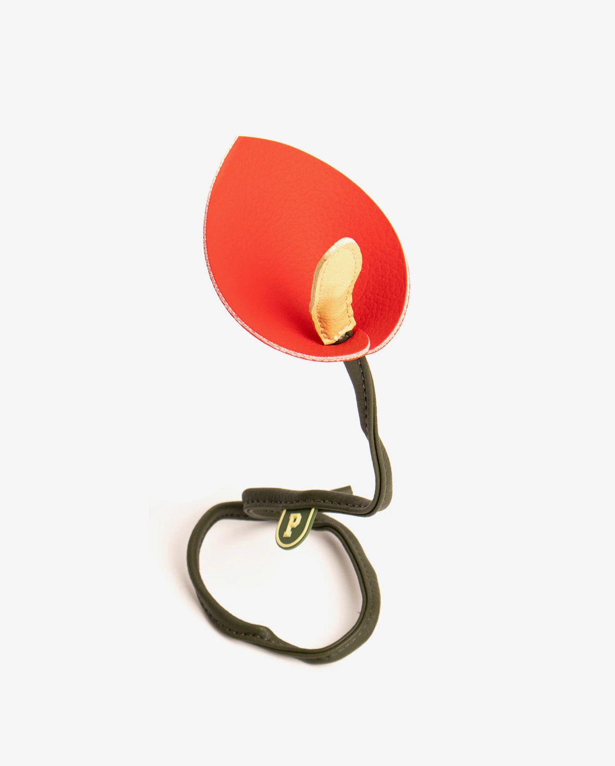 Charm Anthurium - imagen 1