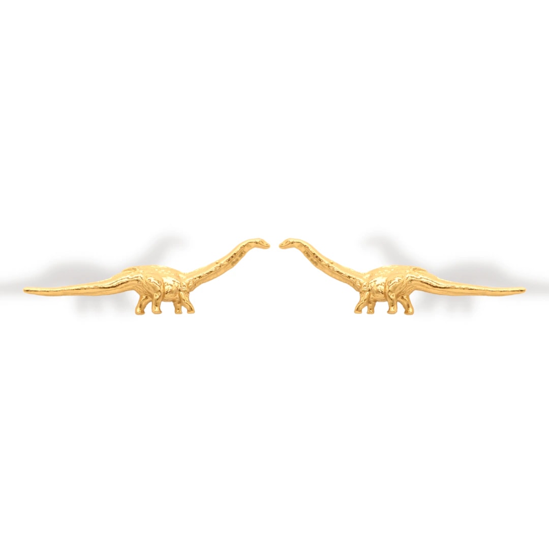 Aretes de titanosaurio - imagen 1