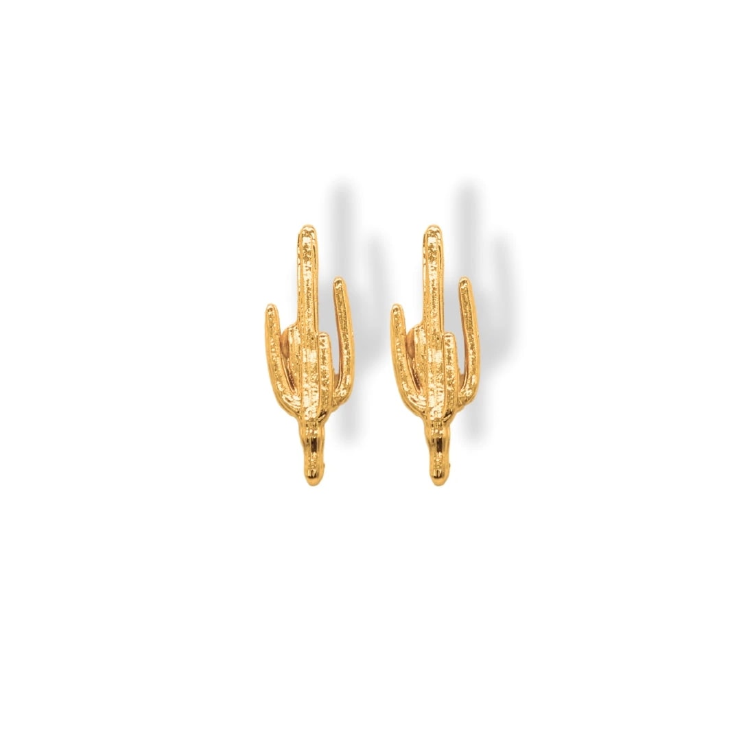 Aretes de cactus grande - imagen 1