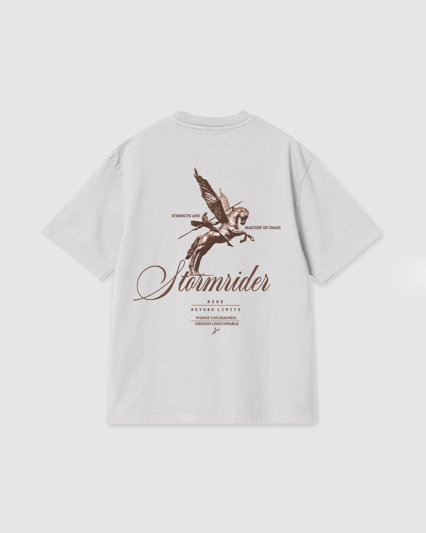 Oversized T Shirt Stormrider White - imagen 1
