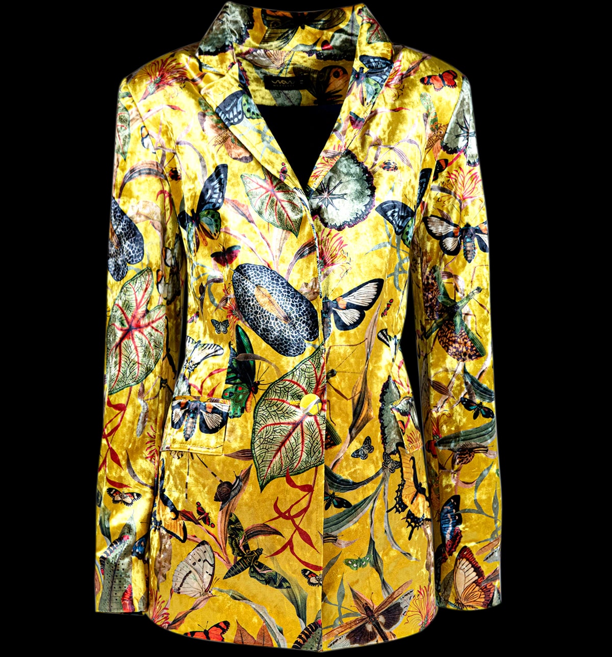 Blazer Terciopelo - Butterfly Yellow - imagen 1