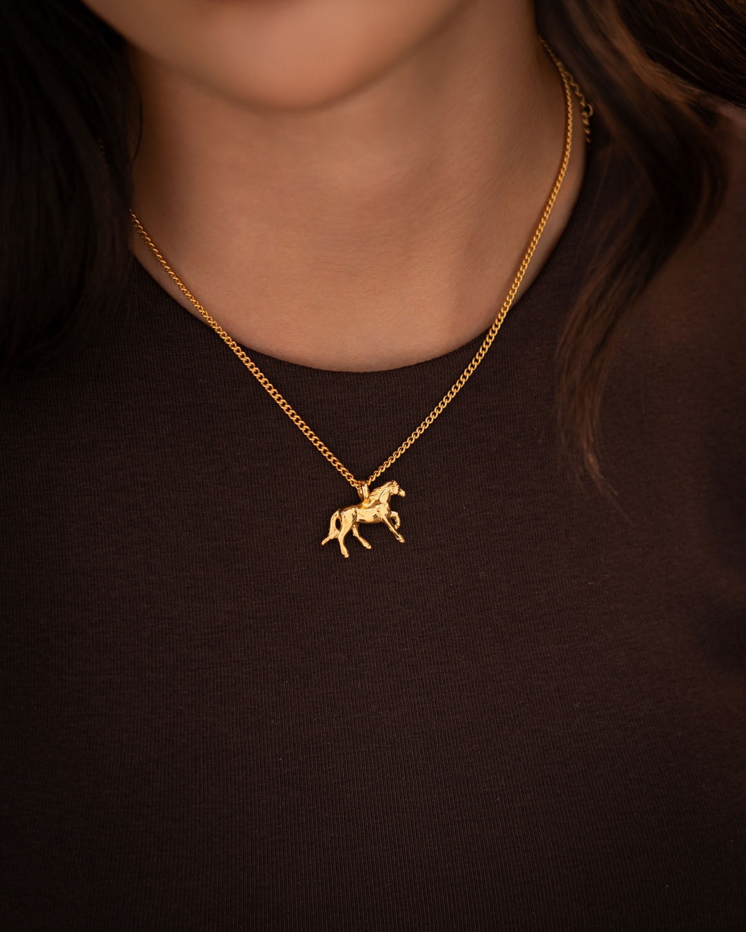 Collar Caballo - imagen 1