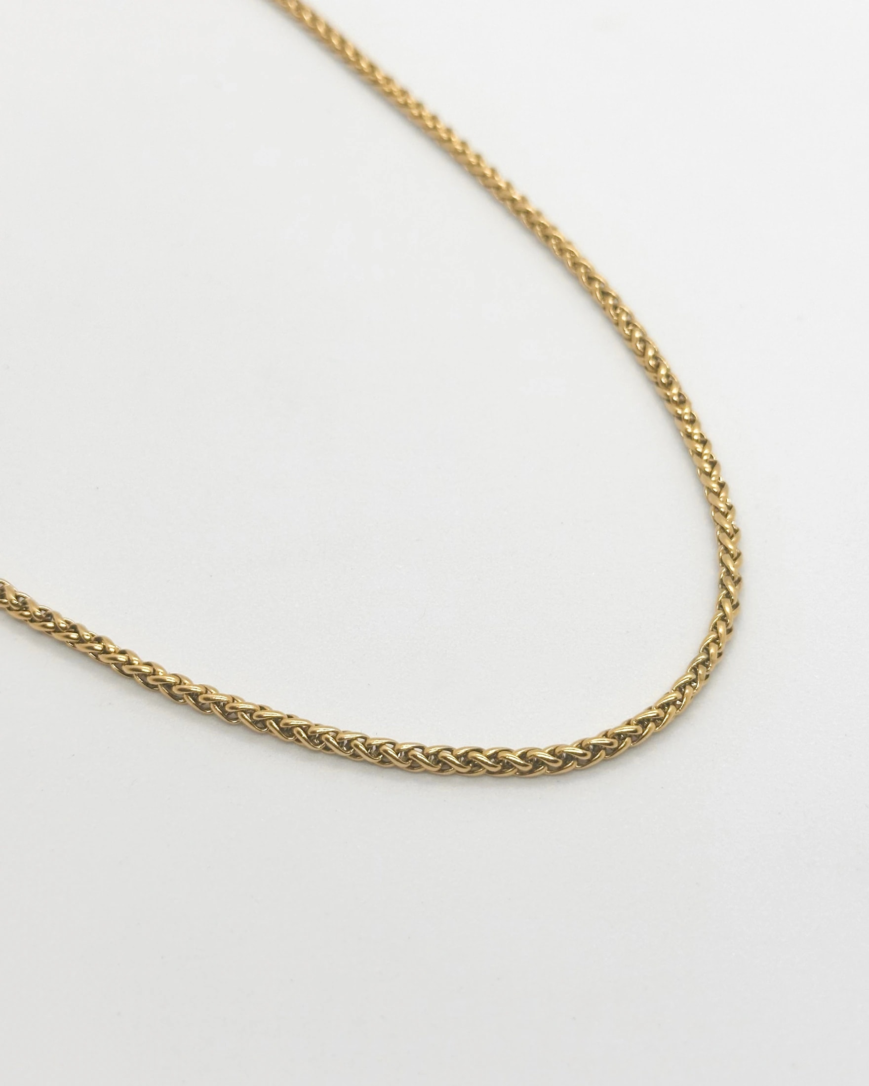 Gold Neck - imagen 1
