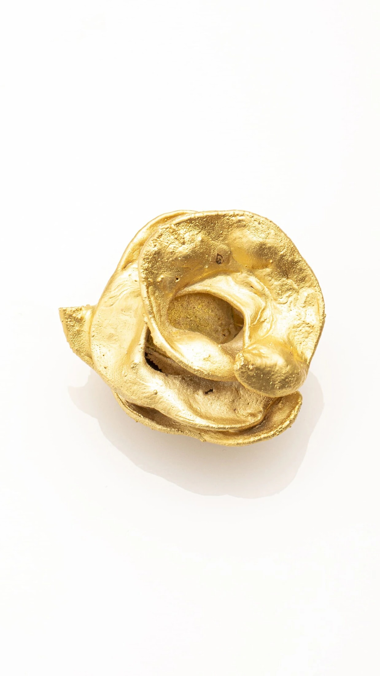 ACACIA BUTTON - imagen 1