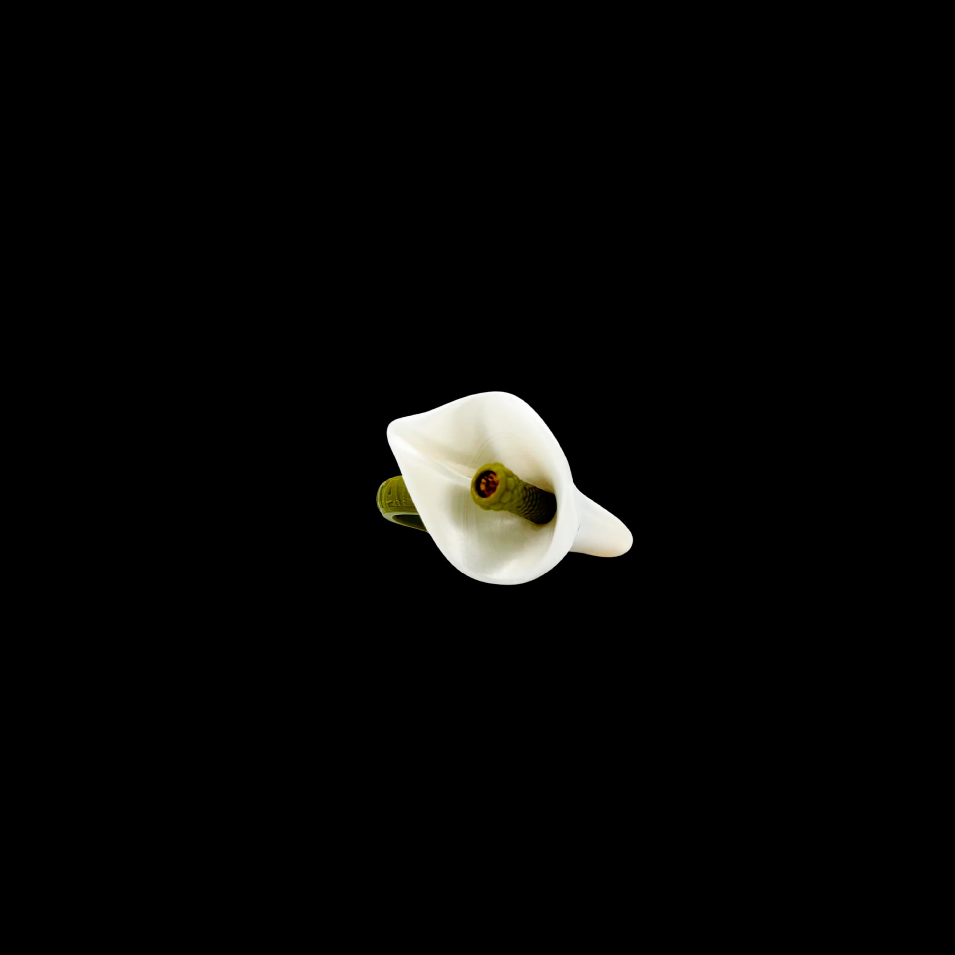 ANILLO CALA - imagen 1