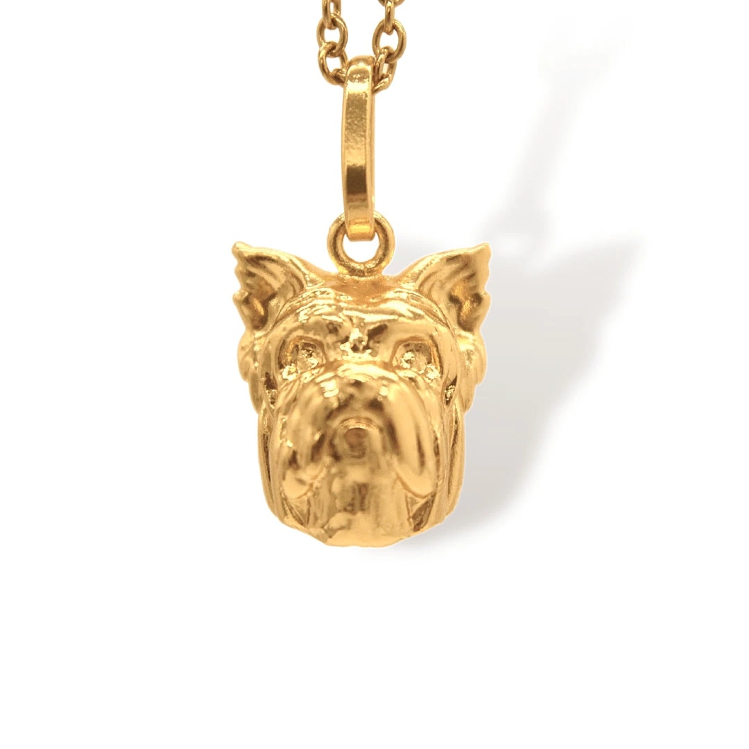 Cadena de Yorkie - imagen 1