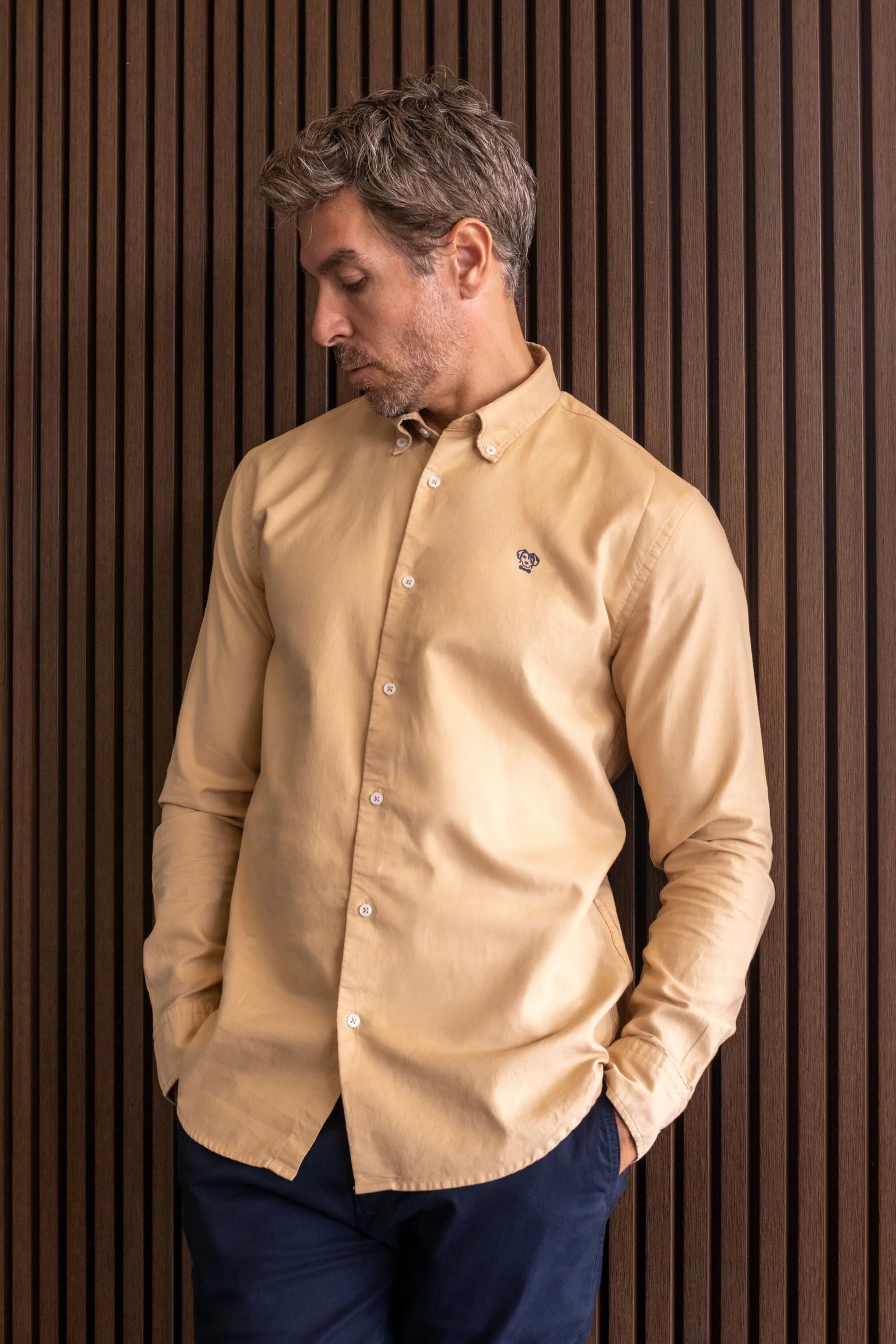 Camisa Antimanchas Oxford Arena - Talla Regular - imagen 1
